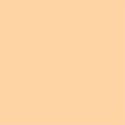 image:imageELEGOO 8K Water Washable ABSLike Resin for 3D Prints High Toughness Low Odor Perfect for Miniatures Prototypes amp Functional Parts Compatible with MSLADLPLCD 3D Printers Red Clay 2000gBeige